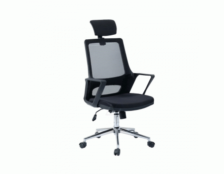    DONNA MÜDÜR KOLTUĞU